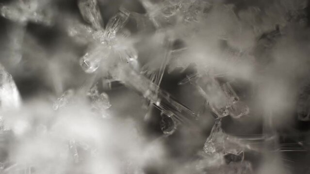 The physical process of changing water from solid to liquid. Ice and snow crystals melt under a microscope. Research process. Education and study.