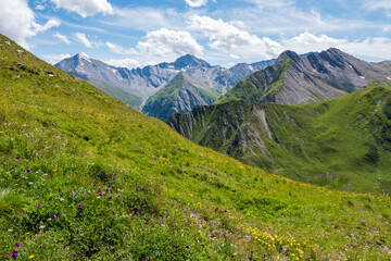Fototapeta na wymiar In the foreground the alpine meadow with flowers and herbs. In the background the mountain peaks visible from the Alp Trida Sattel in Austria towards Switzerland. And a beautiful cloudy sky.