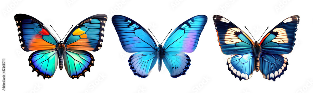 Poster A set of three very beautiful blue butterflies with color transitions isolated on a transparent background. AI generated.