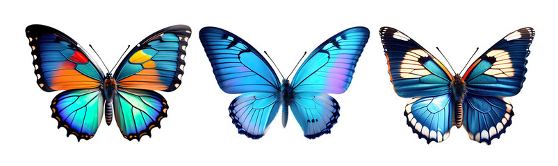 A set of three very beautiful blue butterflies with color transitions isolated on a transparent background. AI generated. - obrazy, fototapety, plakaty