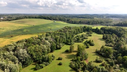 Fototapeta na wymiar Green fields with trees and rolling hills in American farmland