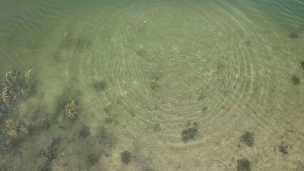 Ripples in peaceful lake in outdoor nature area 