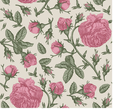 Seamless pattern Roses. Beautiful blooming realistic isolated flowers. Vintage background fabric wildflowers. Wallpaper baroque. Drawing engraving sketch Vector illustration