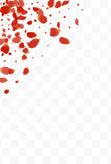 Delicate Cherry Fly Vector Transparent