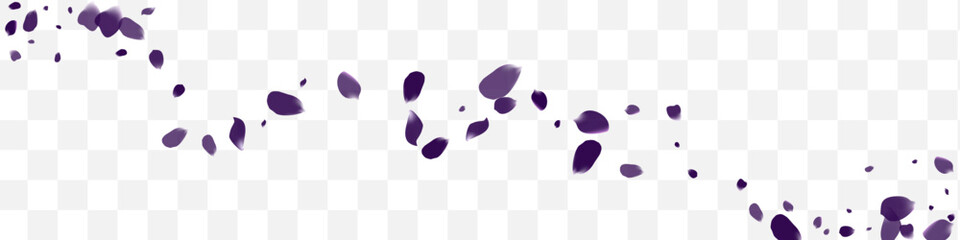 Beautiful Blossom Flying Vector White Transparent