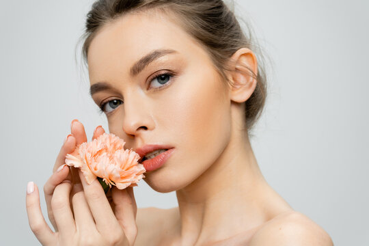 sensual woman with perfect skin and natural makeup holding fresh carnation and looking at camera isolated on grey.