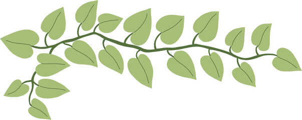 Simplicity ivy freehand drawing	
