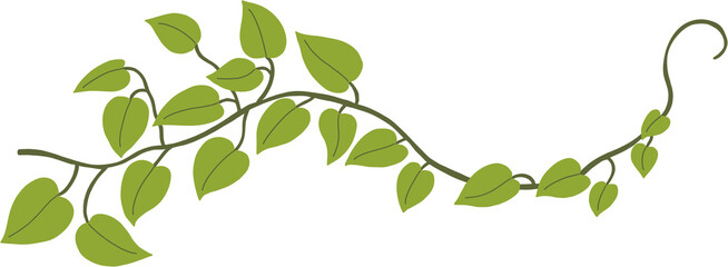 Obraz premium Simplicity ivy freehand drawing 