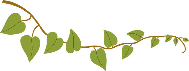 Obraz premium Simplicity ivy freehand drawing 