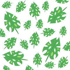 Tropical leaves pattern on transparent background. Green leaves design and illustration. Image format in png