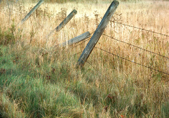 Broken barbed wire fence in Vermont