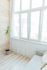 a sofa with a green plant stands by the window in a bright room