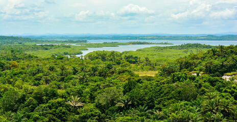 Estrada para Barra Grande - Bahia