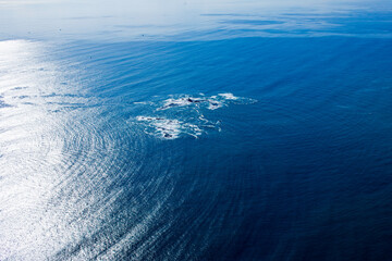 姥島・鳥帽子岩・相模湾・2022撮影