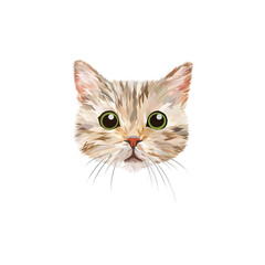 Illustration of cute cat cartoon design.