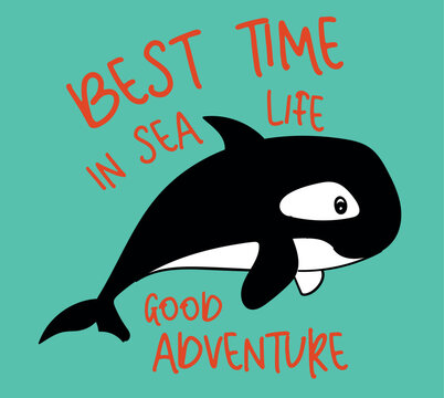 cute orca drawing for children's t shirts