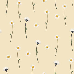 Floral pattern with daisy, background with flowers. Dried flowers pattern, field flowers, wild flowers pattern. Seamless pattern. Hand drawn detailed botanical pattern for social media, web, cards.