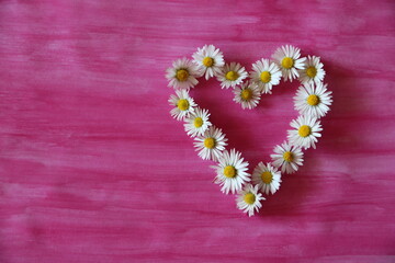 Collage Gänseblümchen Blüten als Herz auf Hintergrund Papier pink bemalt verwaschen