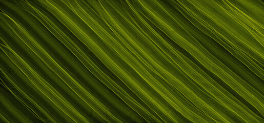 Green leaf like texture background illustration