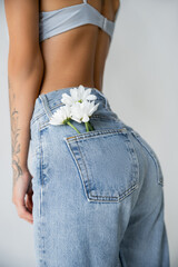 partial view of woman in bra posing with white flowers in back pocket of jeans isolated on grey.