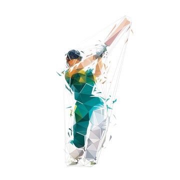 Cricket player, isolated low polygonal vector illustration, cricketer, striking batter, geometric drawing from triangles