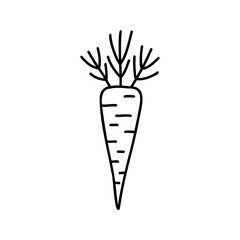 Simple black line drawing cartoon doodle carrot on white background. Vector illustration