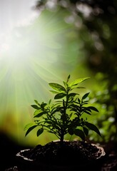 Small trees with green leaves, natural growth, and sunlight, the concept of agriculture, and sustainable plant growth. Ecology and ecological balance concept. Generative AI