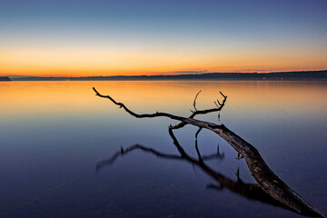 Fototapeta premium Sonnenuntergang am Berliner Wannsee