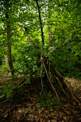 Fototapeta premium Photographie d'une cabane construite avec des branches de bois dans la forêt.