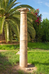 Roman or ancient Greek column in a park or garden of a European city.