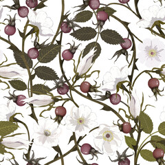 Digital floral seamless pattern. Wild rose pattern, dog rose pattern - 572720330