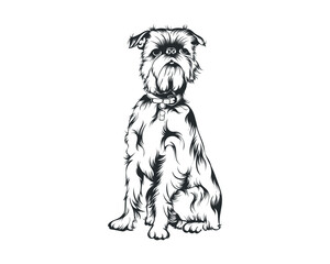 Brussels Griffon Dog Vector Illustration, Brussels Griffon breed Vector on White Background for t-shirt, logo and others