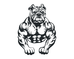 Black and White body builder Bulldog vector illustration, body builder dog vector