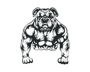 Black and White body builder Bulldog vector illustration, body builder dog vector