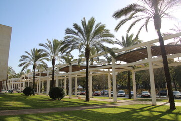 Park path with palm trees lawn, several wooden foods with iron structure painted in white 