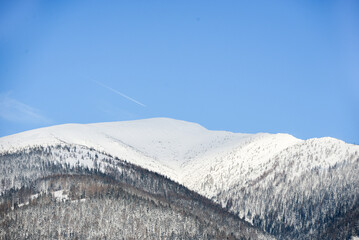 Views from city Liptovsky Mikulas to West Tatras in winter time with snowy trees  and cloudy sky. Liptov region, Slovakia. Winter trees background.