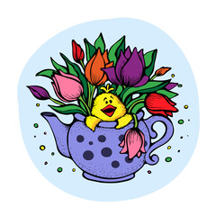 Funny yellow chick peeks out of crazy teapot into bouquet of spring tulips. For sticker, postcard, spring holiday, easter, valentine's day, mother and women's day, birthday