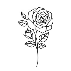 Vector image of a rose branch
