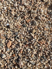 Pebbles washed ashore by the sea and small shells in the rays of the sun.