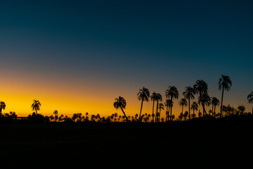 Atardecer en el Palmar