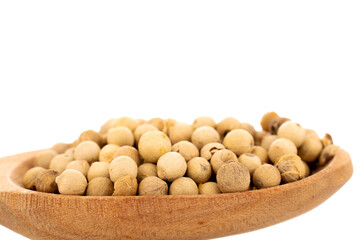 Fragrant vegetable coriander seeds in a wooden spoon, macro, isolated on white background.