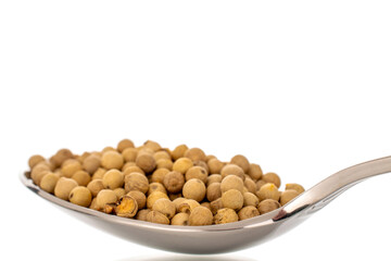 Fragrant vegetable coriander seeds in a metal spoon, macro, isolated on white background.