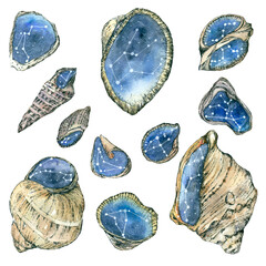 A set of watercolor shells with water and stars inside, isolates. Watercolor illustration.