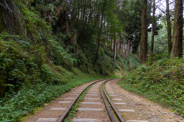 Alishan Forest Railway in Taiwan