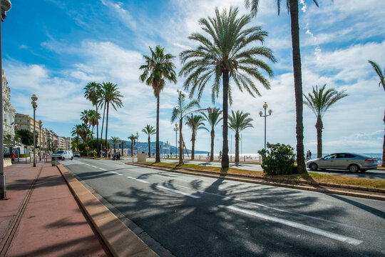 Amazing  Promenade des Anglais   with fantastic palm trees and walking people ( or by bicycle)  in Nice, French Riviera