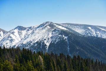 Beautiful view of the snowy mountains with blue sky , no clouds during day in the spring. Spring meadow with snow and knee-timber. West Tatras, Slovakia, Liptovsky Mikulas.