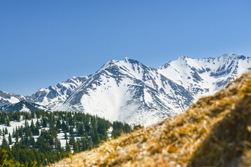 Fototapeta premium Beautiful view of the snowy mountains with blue sky , no clouds during day in the spring. Spring meadow with snow and knee-timber. West Tatras, Slovakia, Liptovsky Mikulas.