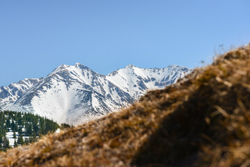 Fototapeta premium Beautiful view of the snowy mountains with blue sky , no clouds during day in the spring. Spring meadow with snow and knee-timber. West Tatras, Slovakia, Liptovsky Mikulas.