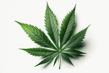 cannabis leaf on white background photorealistic made by generative ai