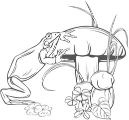Frog and mushroom
